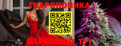 крисы Будённовск