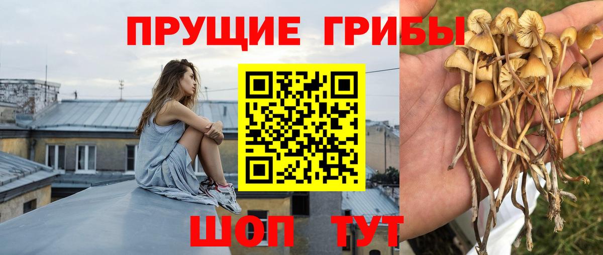 Псилоцибиновые грибы ЛСД Кубинка